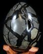 Septarian Dragon Egg Geode - Crystal Filled #37360-4